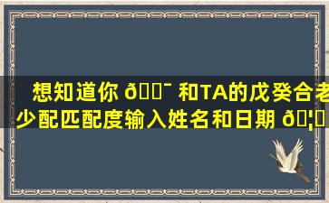 想知道你 🐯 和TA的戊癸合老少配匹配度输入姓名和日期 🦅 立即测试！